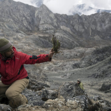 Venezuela Vanishing Glacier