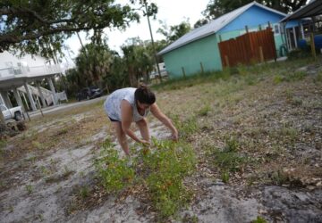 Climate Hurricane Recovery