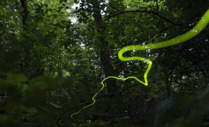 APTOPIX Climate Fireflies Flickering Future
