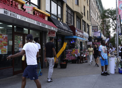 Harlem Festival Urban Activism