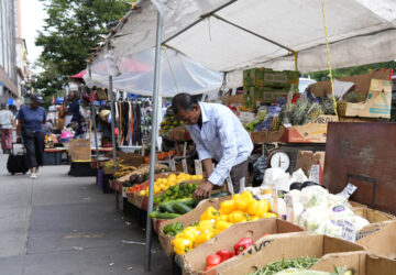 Harlem Festival Urban Activism