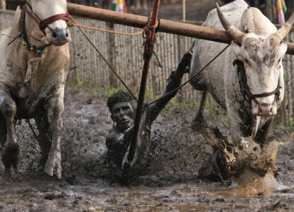 Pictures of the Week Global Photo Gallery