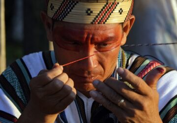 Climate Amazon Indigenous Reforestation