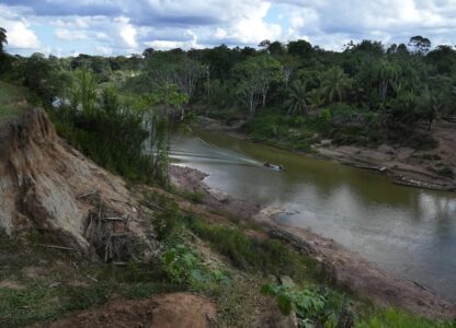 Climate Amazon Indigenous Reforestation