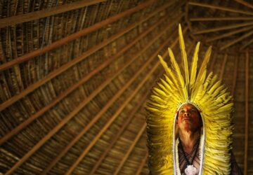 Climate Amazon Indigenous Reforestation