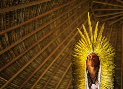 Climate Amazon Indigenous Reforestation