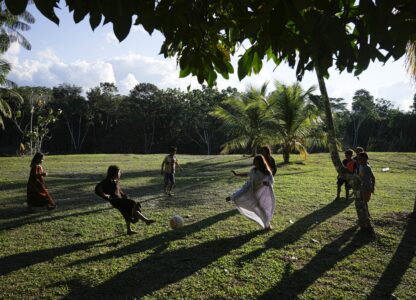 Climate Amazon Indigenous Reforestation