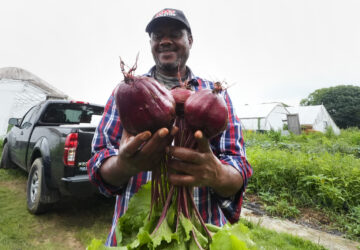 Migrant Farmers