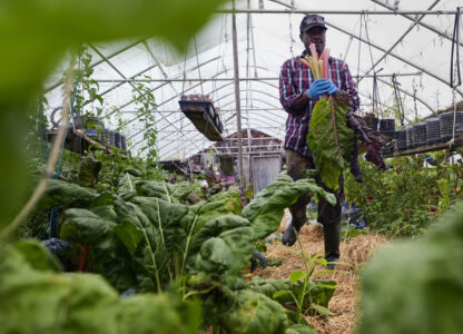 Migrant Farmers