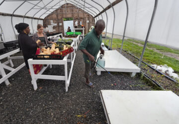 Migrant Farmers