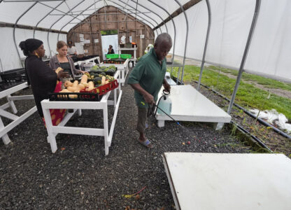 Migrant Farmers