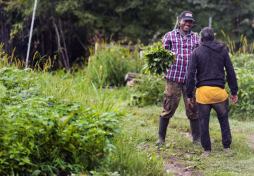 Migrant Farmers