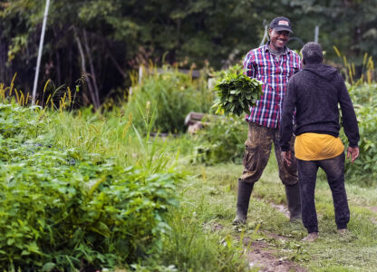 Migrant Farmers