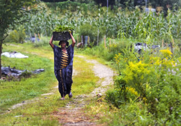 Migrant Farmers