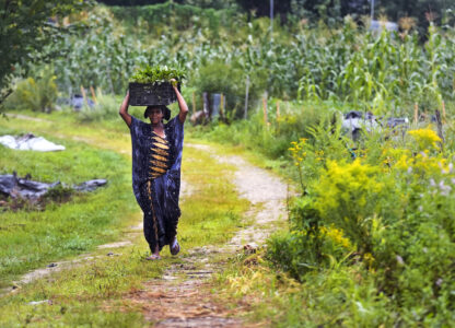 Migrant Farmers