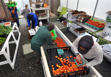 Migrant Farmers