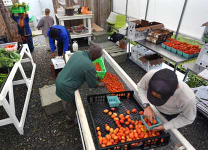 Migrant Farmers