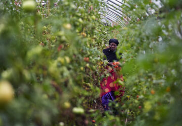 Migrant Farmers