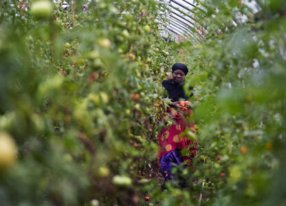 Migrant Farmers