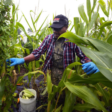 Migrant Farmers