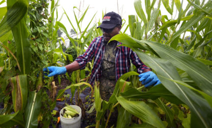 Migrant Farmers