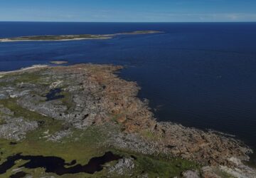 Climate Canada Beluga Whales