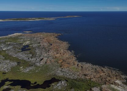 Climate Canada Beluga Whales