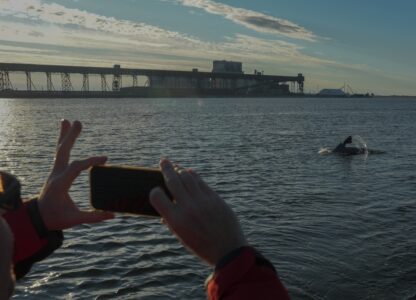 Climate Canada Beluga Whales