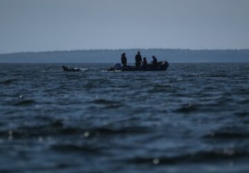 Climate Canada Beluga Whales