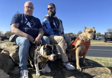 Retired Army First Sgt. Timothy Siebenmorgen, left, and retired Marine Corps Cpl. Mark Atkinson sit with their service dogs, Rosie and Lexi on Thursday, Nov. 7, 2024, in Kansas City, Kan., during a group training session. Both veterans are part of Dogs 4 Valor that helps retired veterans and first responders in the Kansas City area work with their service dogs to help manage depression, anxiety and other challenges. (AP Photo/Nick Ingram)