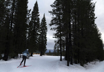 Two-time Olympian Joan Wilder skis at the Meissner Nordic Community Ski Area within the Deschutes National Forest on Nov. 22, 2024, in Deschutes County near Bend, Ore. (AP Photo/Jenny Kane)