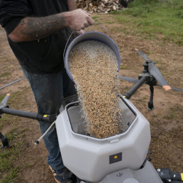 Russell Hedrick prepares a DJI drone to put crop cover on his farm, Tuesday, Dec. 17, 2024, in Hickory, N.C. (AP Photo/Allison Joyce)