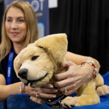 Tombot, a robotic dog for people who can not have a real pet, gets a scratch during 2025 CES Unveiled, Sunday, Jan. 5, 2025, in Las Vegas. (AP Photo/Jack Dempsey)