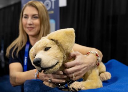 Tombot, a robotic dog for people who can not have a real pet, gets a scratch during 2025 CES Unveiled, Sunday, Jan. 5, 2025, in Las Vegas. (AP Photo/Jack Dempsey)