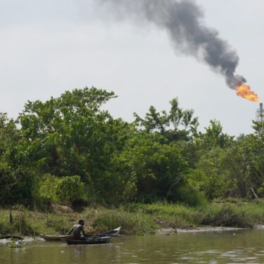 Nigeria Oil Pollution Failed Cleanup