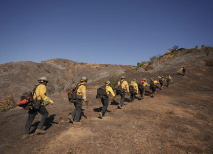 Fire crews work the burn zone of the Palisades Fire in Mandeville Canyon Thursday, Jan. 16, 2025, in Los Angeles. (AP Photo/Jae C. Hong)