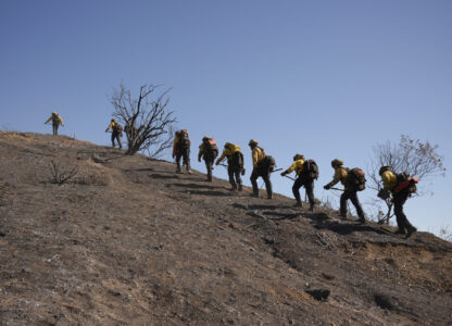 Fire crews work the burn zone of the Palisades Fire in Mandeville Canyon Thursday, Jan. 16, 2025, in Los Angeles. (AP Photo/Jae C. Hong)