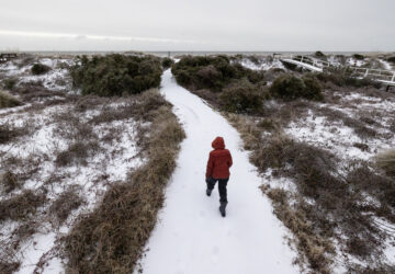 A beach walker heads to the ocean after a winter storm dropped ice and snow Wednesday, Jan. 22, 2025, on the Isle of Palms, S.C. (AP Photo/Mic Smith)