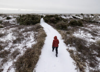 A beach walker heads to the ocean after a winter storm dropped ice and snow Wednesday, Jan. 22, 2025, on the Isle of Palms, S.C. (AP Photo/Mic Smith)