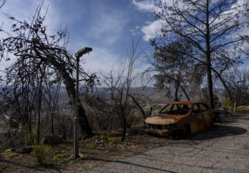 A scorched car and burnt trees damaged from the 14-month war between Hezbollah and Israel in Kibbutz Manara, on the border with Lebanon, northern Israel, Jan. 5, 2025. (AP Photo/Ariel Schalit)