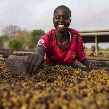 A worker turns excelsa coffee beans to dry near Nzara, South Sudan on Saturday, Feb. 15, 2025. (AP Photo/Brian Inganga)