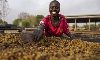 A worker turns excelsa coffee beans to dry near Nzara, South Sudan on Saturday, Feb. 15, 2025. (AP Photo/Brian Inganga)