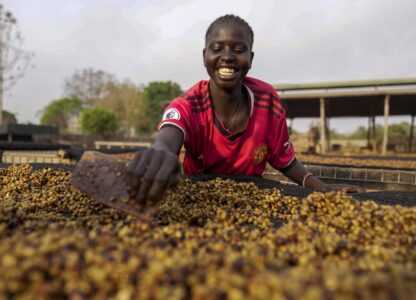 A worker turns excelsa coffee beans to dry near Nzara, South Sudan on Saturday, Feb. 15, 2025. (AP Photo/Brian Inganga)