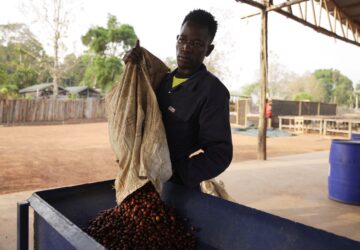 A worker processes excelsa coffee berries in a hulling machine near Nzara, South Sudan on Saturday, Feb. 15, 2025. (AP Photo/Brian Inganga)