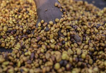 A worker turns excelsa coffee beans to dry near Nzara, South Sudan on Saturday, Feb. 15, 2025. (AP Photo/Brian Inganga)