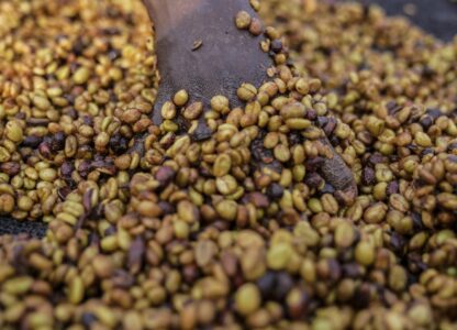 A worker turns excelsa coffee beans to dry near Nzara, South Sudan on Saturday, Feb. 15, 2025. (AP Photo/Brian Inganga)